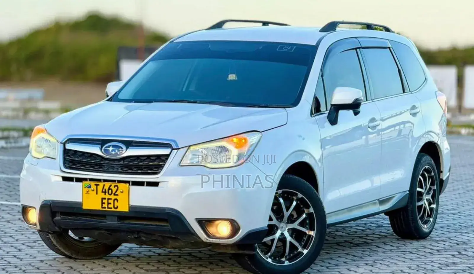 Subaru Forester 2013 Pearl
