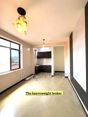 1bdrm Apartment in Dalali Nick Mwanza, Mecco for rent