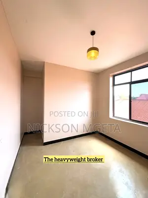 1bdrm Apartment in Dalali Nick Mwanza, Mecco for rent