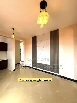 1bdrm Apartment in Dalali Nick Mwanza, Mecco for rent