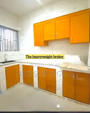 2bdrm House in Dalali Nick Mwanza, Nyasaka for rent