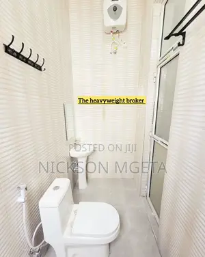 2bdrm House in Dalali Nick Mwanza, Nyasaka for rent