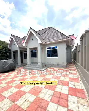 2bdrm House in Dalali Nick Mwanza, Nyasaka for rent