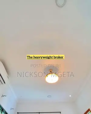 3bdrm Apartment in Dalali Nick Mwanza, Mkolani for rent