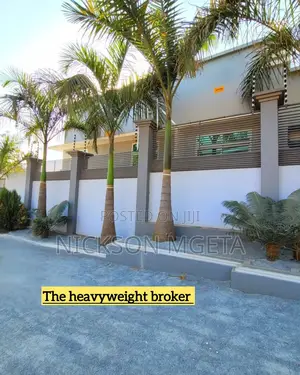 3bdrm Apartment in Dalali Nick Mwanza, Mkolani for rent
