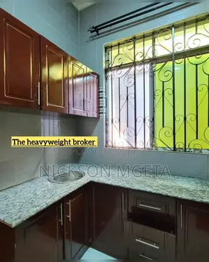 3bdrm Apartment in Dalali Nick Mwanza, Mkolani for rent