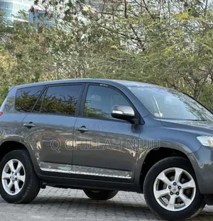 Toyota Vanguard 2010 Gray