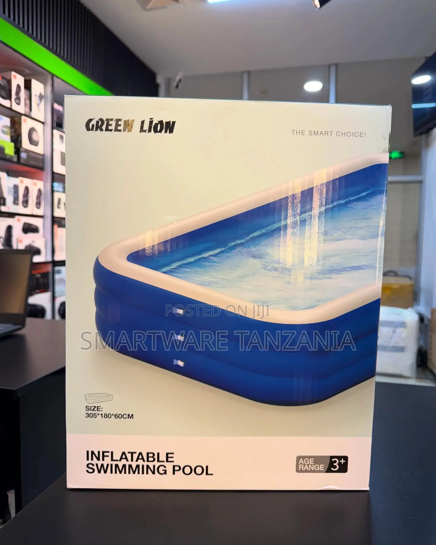Green Lion Inflatable Swimming Pool 305x180x60cm Family Size Age 3+