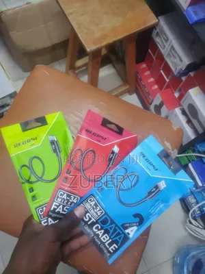 Raino Fast Charger Cables
