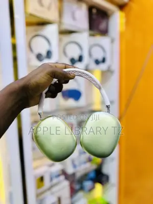 Apple Headphones