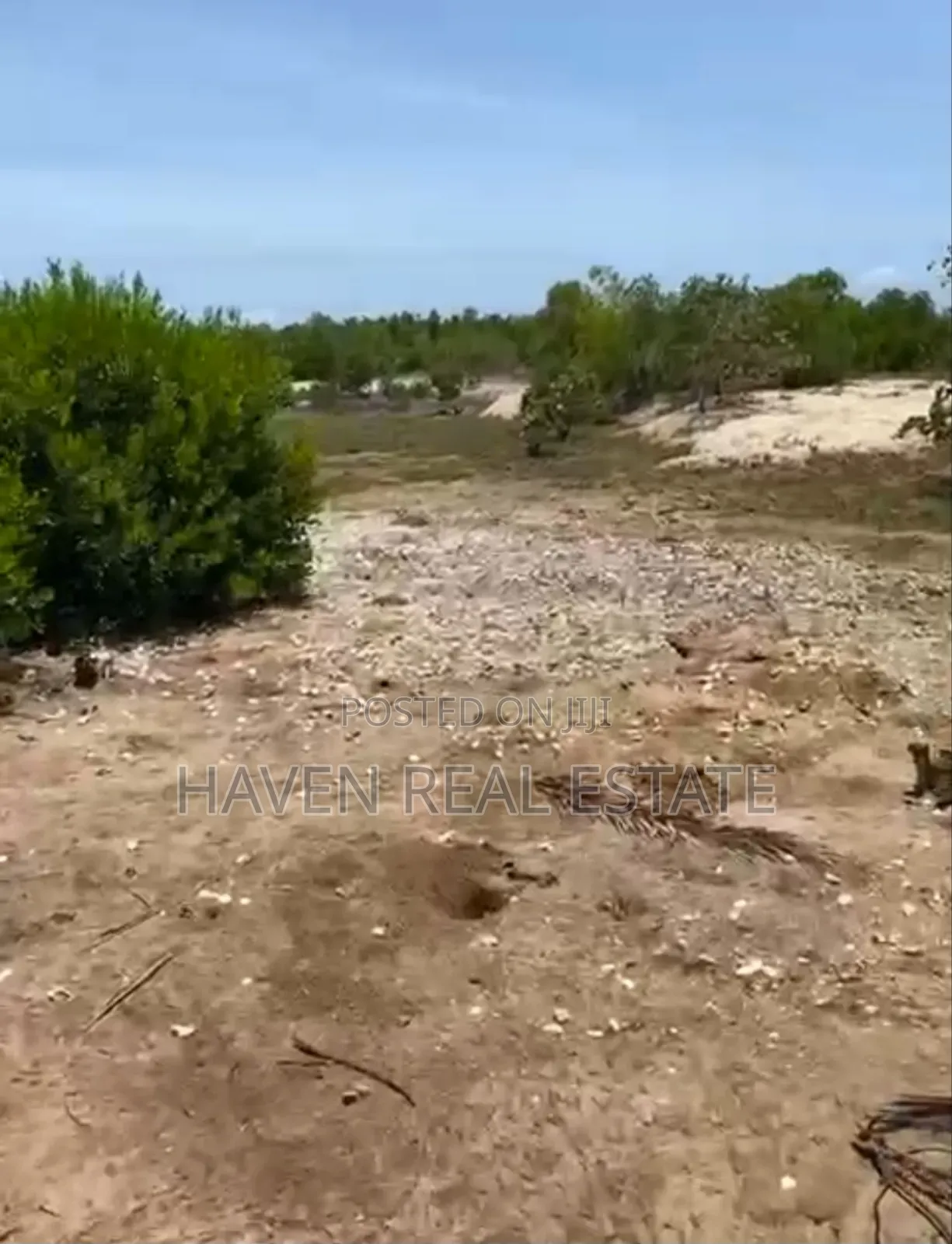 Beach Plot for Sale at Bwejuu Zanzibar
