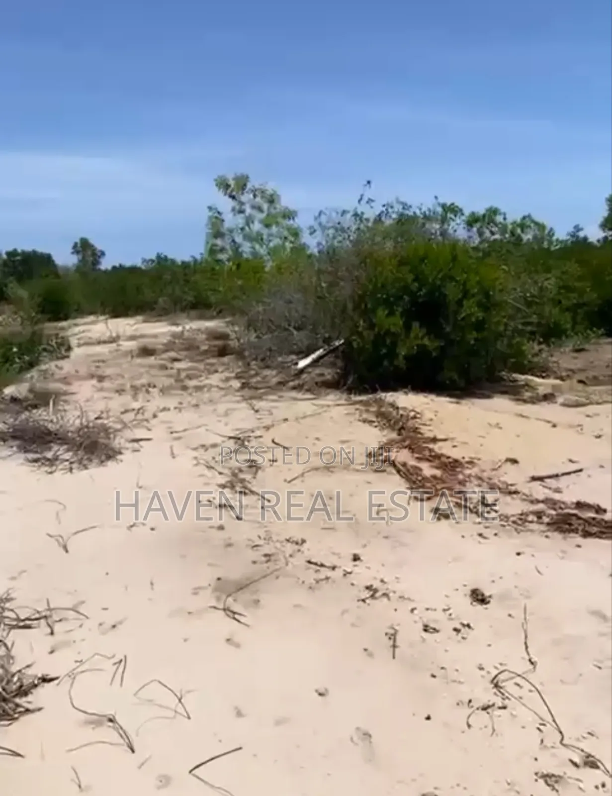 Beach Plot for Sale at Bwejuu Zanzibar