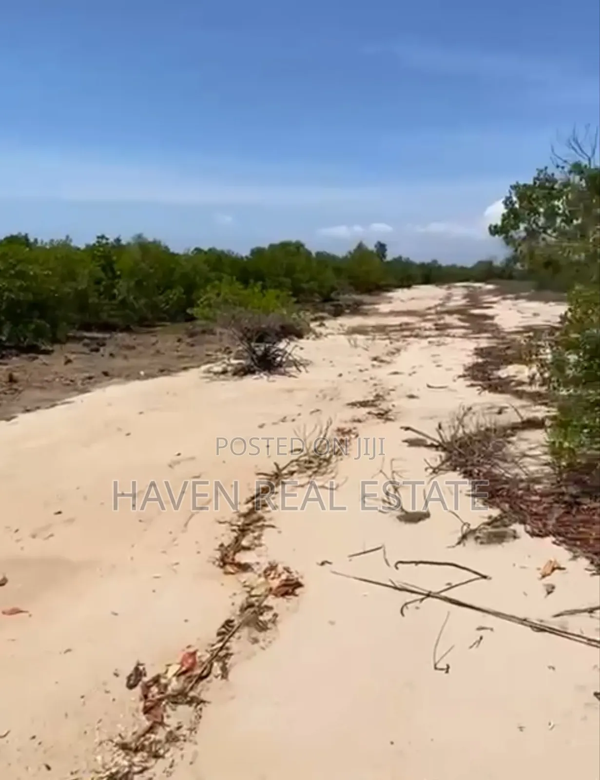 Beach Plot for Sale at Bwejuu Zanzibar