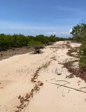 Beach Plot for Sale at Bwejuu Zanzibar