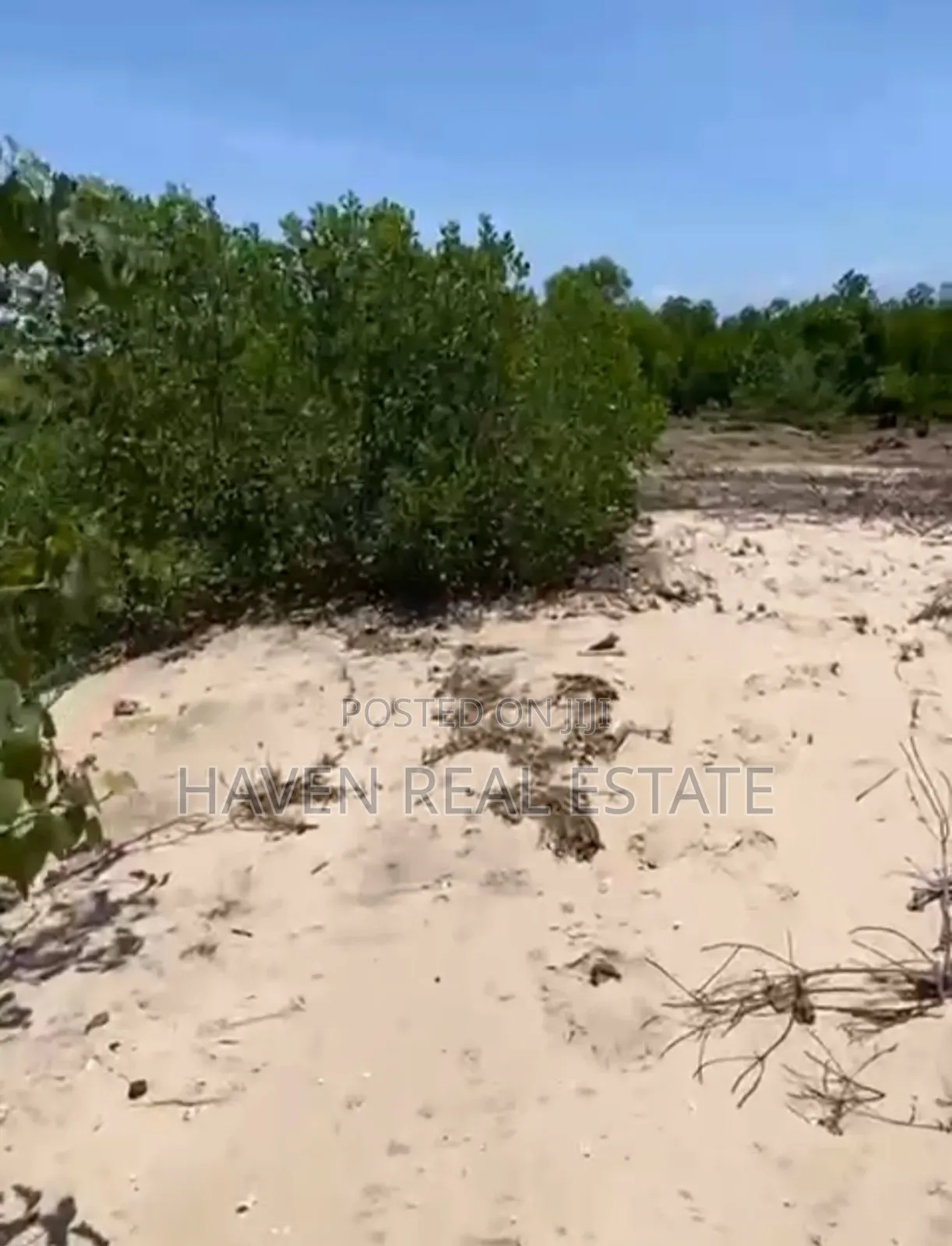 Beach Plot for Sale at Bwejuu Zanzibar