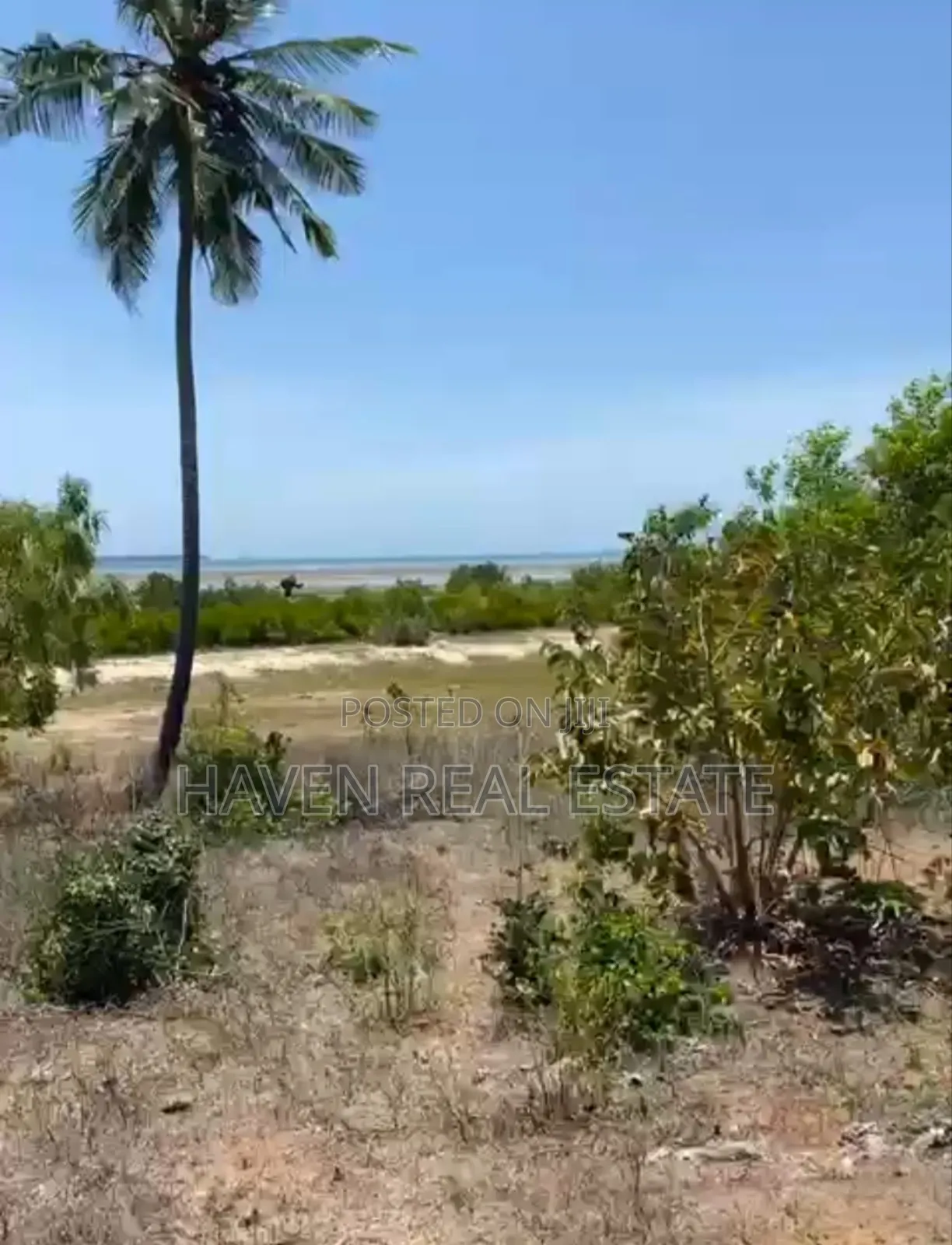 Beach Plot for Sale at Bwejuu Zanzibar