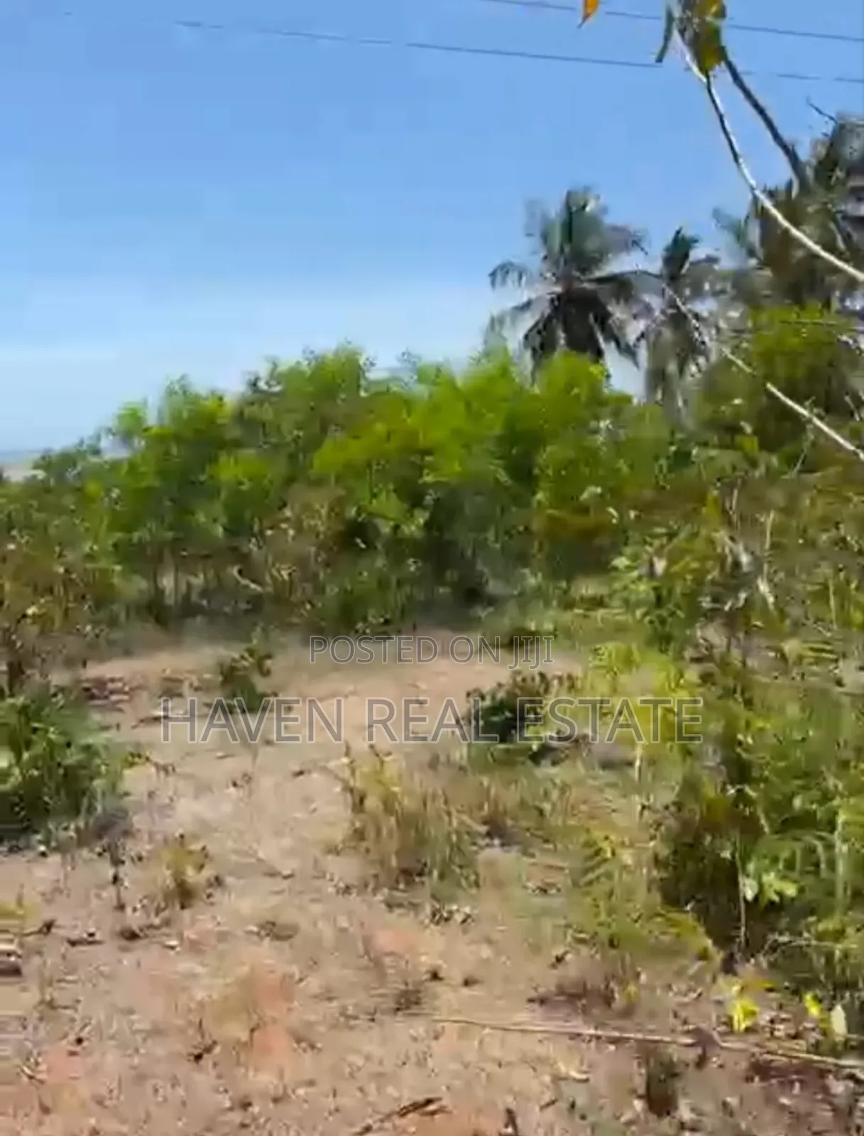 Beach Plot for Sale at Bwejuu Zanzibar