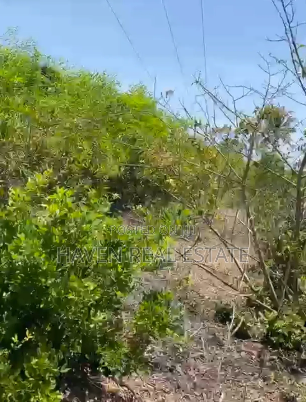 Beach Plot for Sale at Bwejuu Zanzibar