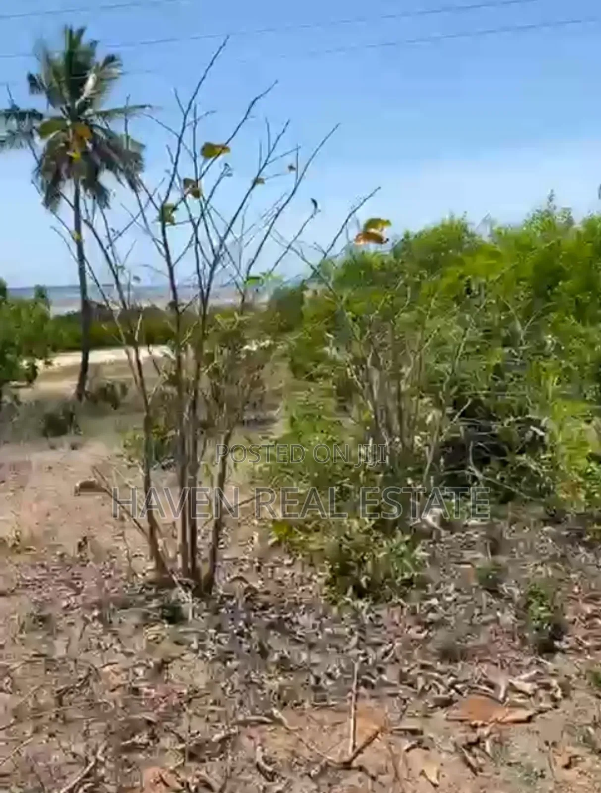 Beach Plot for Sale at Bwejuu Zanzibar