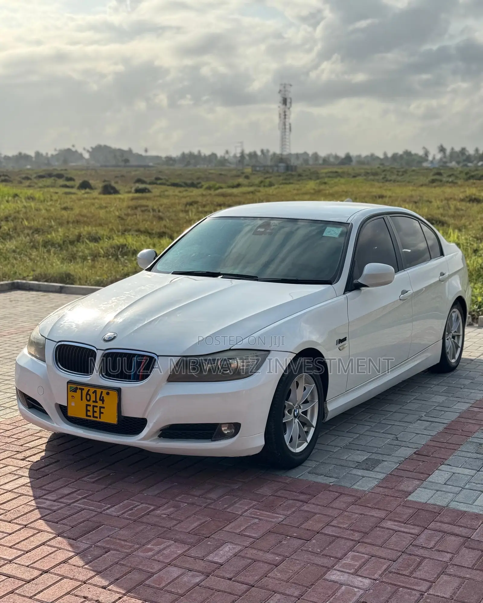 BMW 3 Series 2010 White