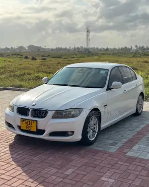 BMW 3 Series 2010 White