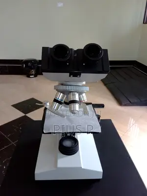 Binocular Microscope