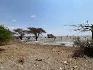 Beach Plot With 20 Acres for Sale at Manyara Arusha Mto Wa Mbu