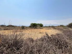 Beach Plot With 20 Acres for Sale at Manyara Arusha Mto Wa Mbu