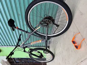 Mountain Bicycle