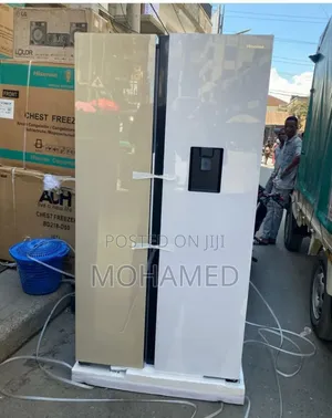 Hisense Fridge H670sdk-Wd