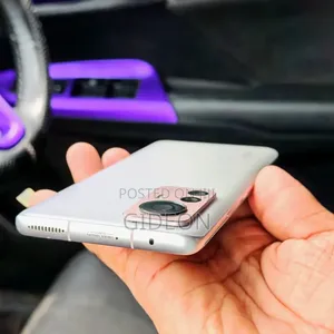Xiaomi 12 Pro 256 GB Silver
