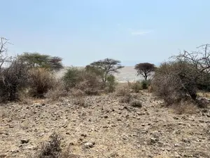 Plot for Sale Mto Wa Mbu Arusha