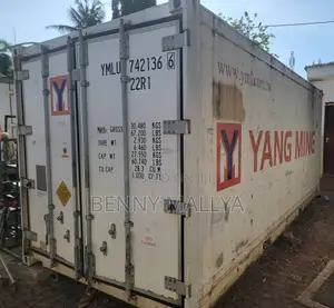 20ft Container-Refrigerated/Reefer