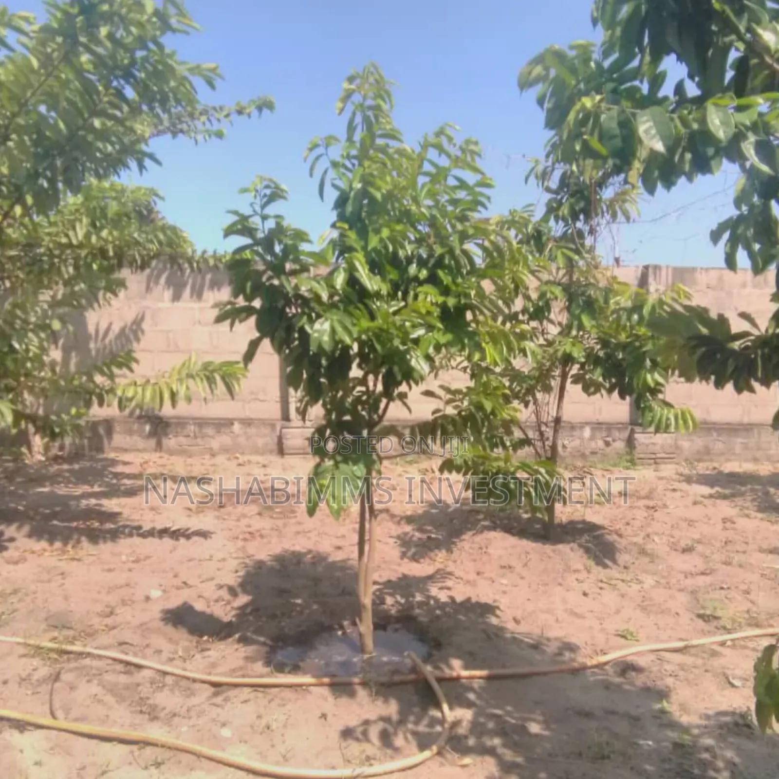 Furnished 2bdrm House in Bagamoyo for sale