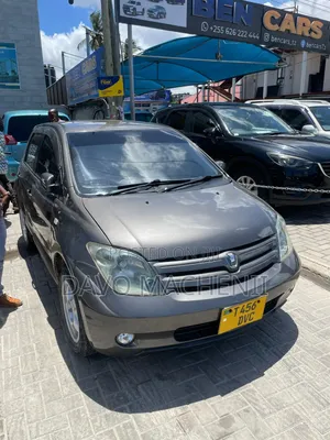 Toyota IST 2006 Gray