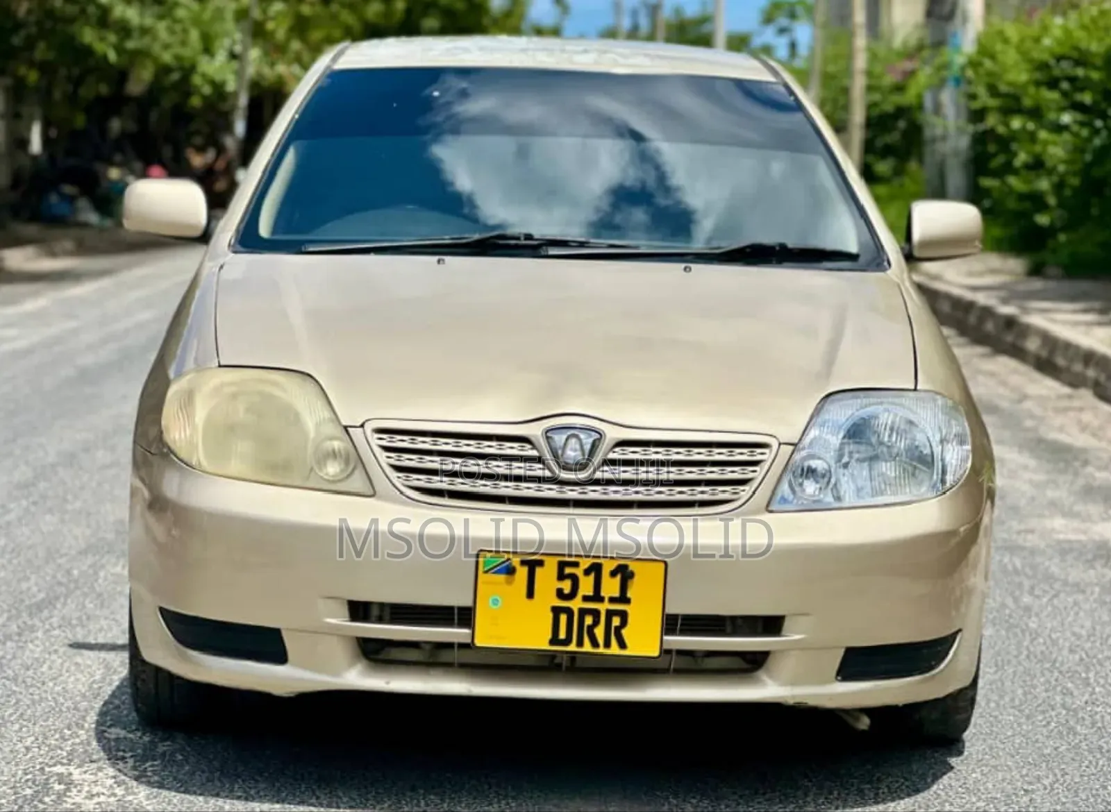 Toyota Allex 2004 Gold