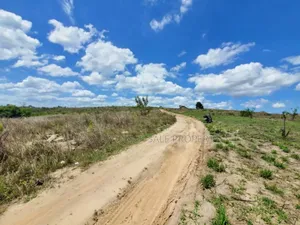Plot Area SQM 400 for Sale at Kibamba Shule