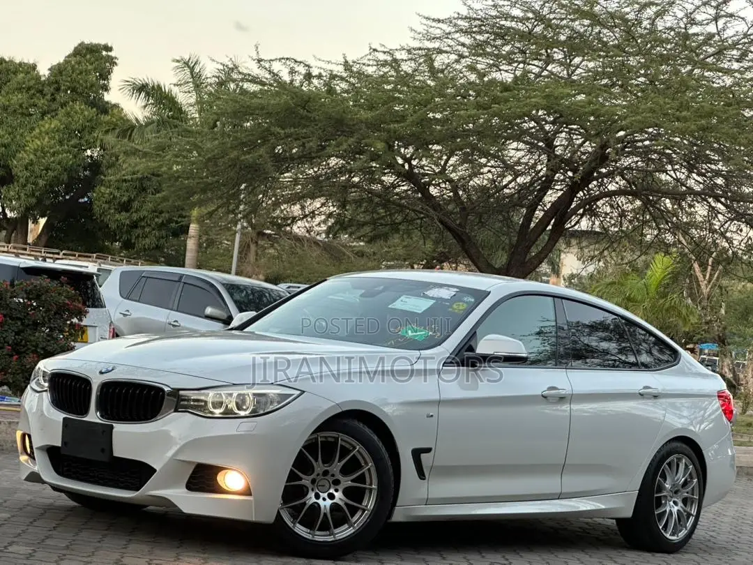 BMW 320i Sedan RWD 2015 White
