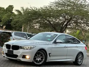 BMW 320i Sedan RWD 2015 White