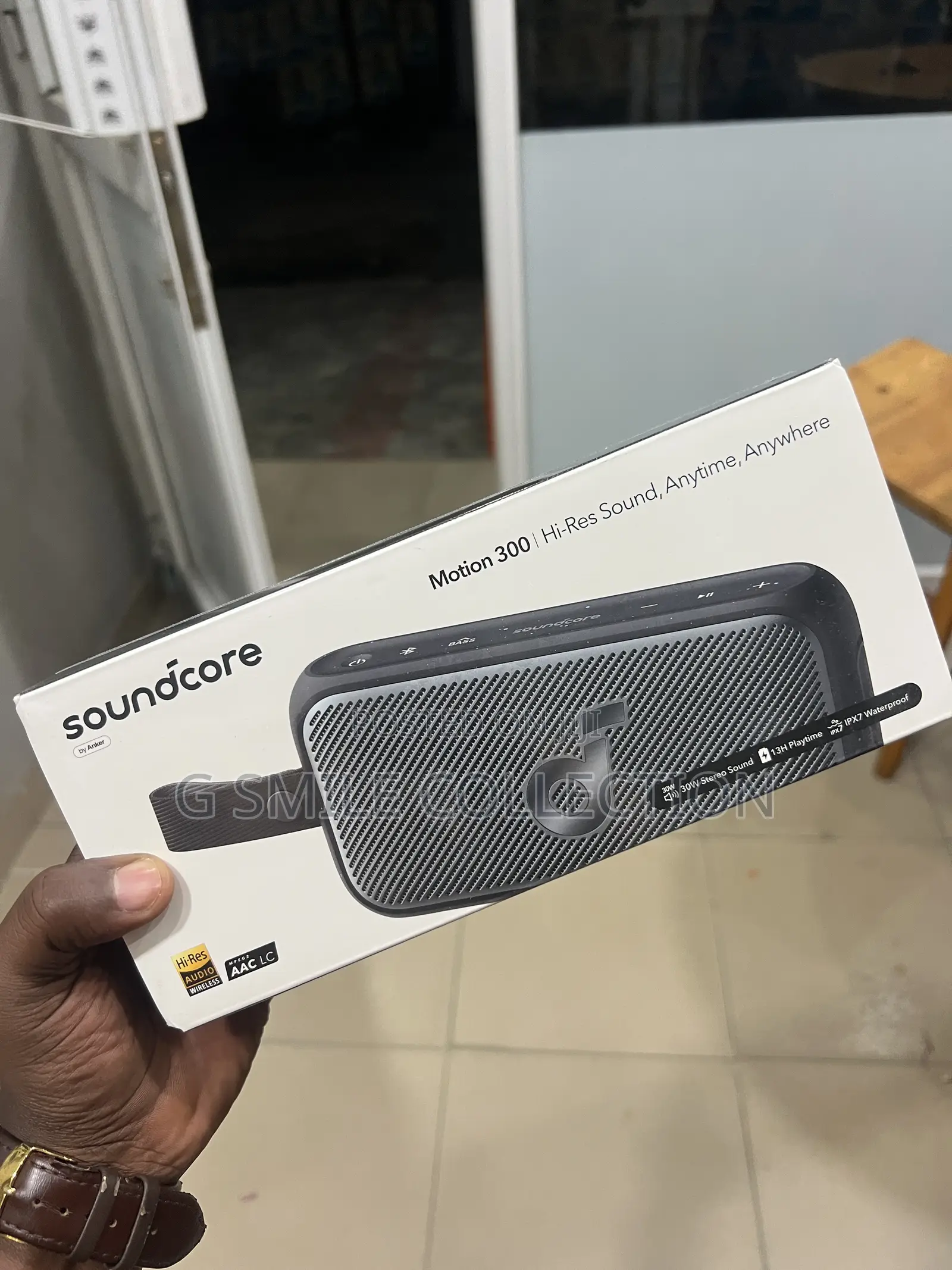 Soundcore Motion300