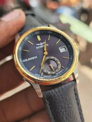 Domino Dm-4030g Men's Watch With a Gold-Colored Case