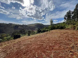 Farm With 7 Acres for Sale at Karatu