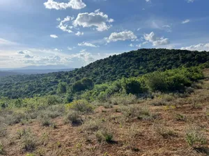 Farm With 7 Acres for Sale at Karatu