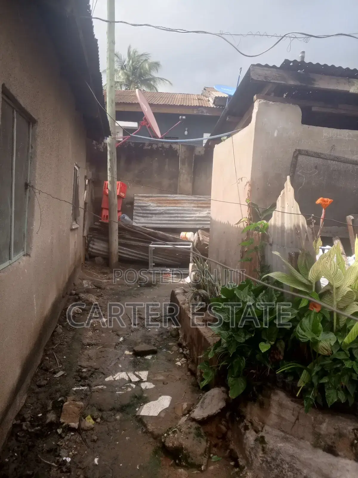 12bdrm House in Carter Estate, Kimara for sale