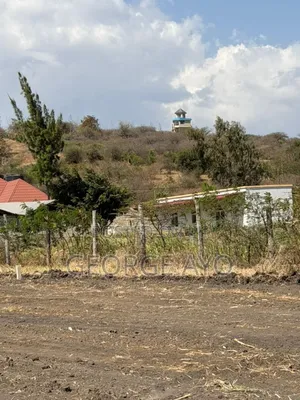 Wauzaji Wa Viewanja Arusha Na Kilimanjaro