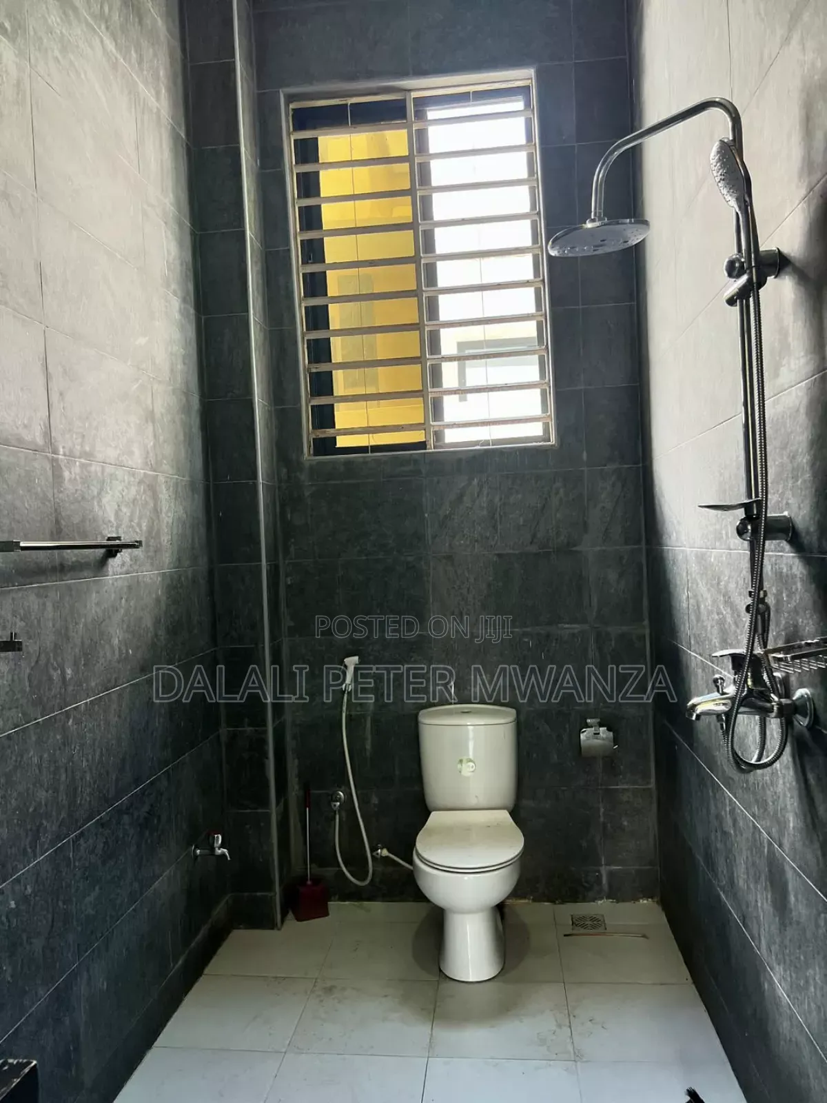 3bdrm House in Nyasaka, Ilemela for rent