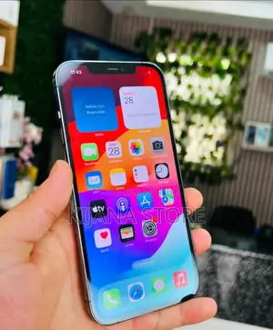 Apple iPhone 12 Pro Max 128 GB Silver