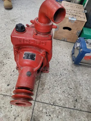 Ns 50 Centrifugal Pump (2inch)