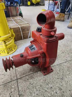 Ns 50 Centrifugal Pump (2inch)