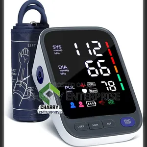 Electronic Upper Arm Style Blood Pressure Monitor, Model Bp06d